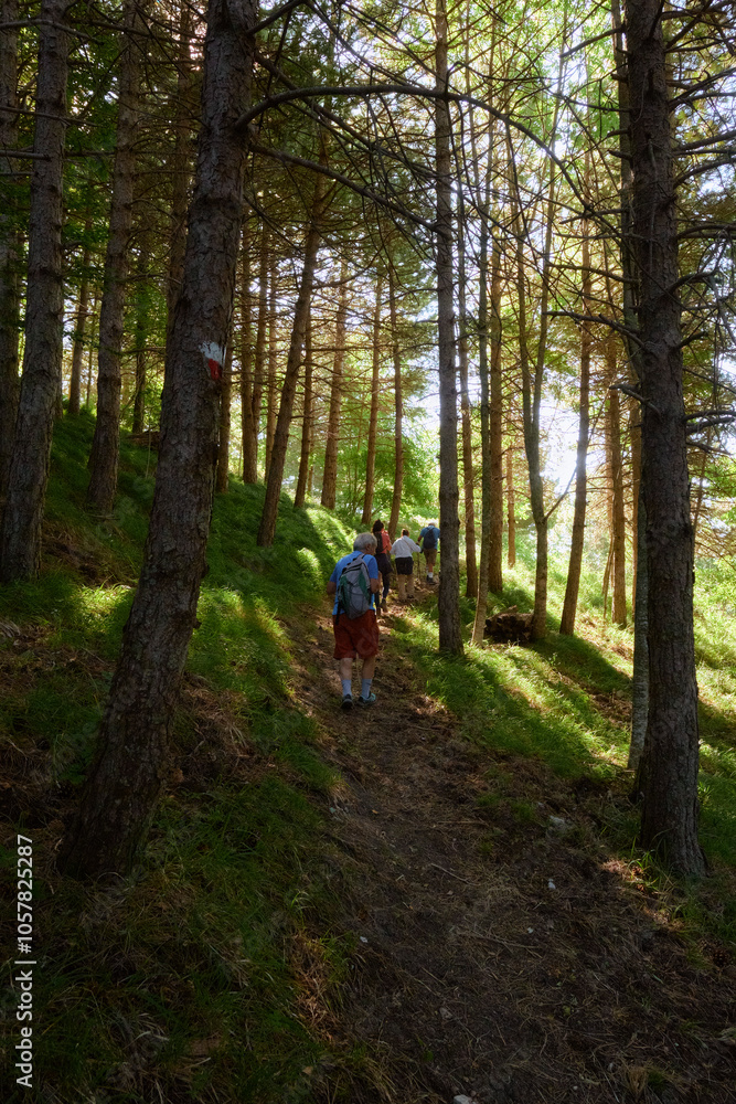 capracotta,molise,nature,landscape,trekking,mountain capracotta,molise,nature,landscape,trekking,mountain