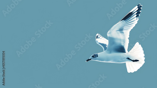 A graceful seagull soars through the clear blue sky, its wings outstretched and catching the sunlight. photo