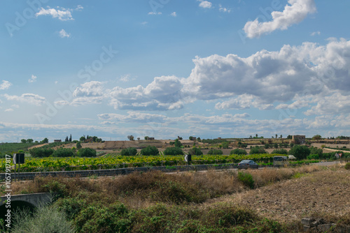 paesaggio rurale