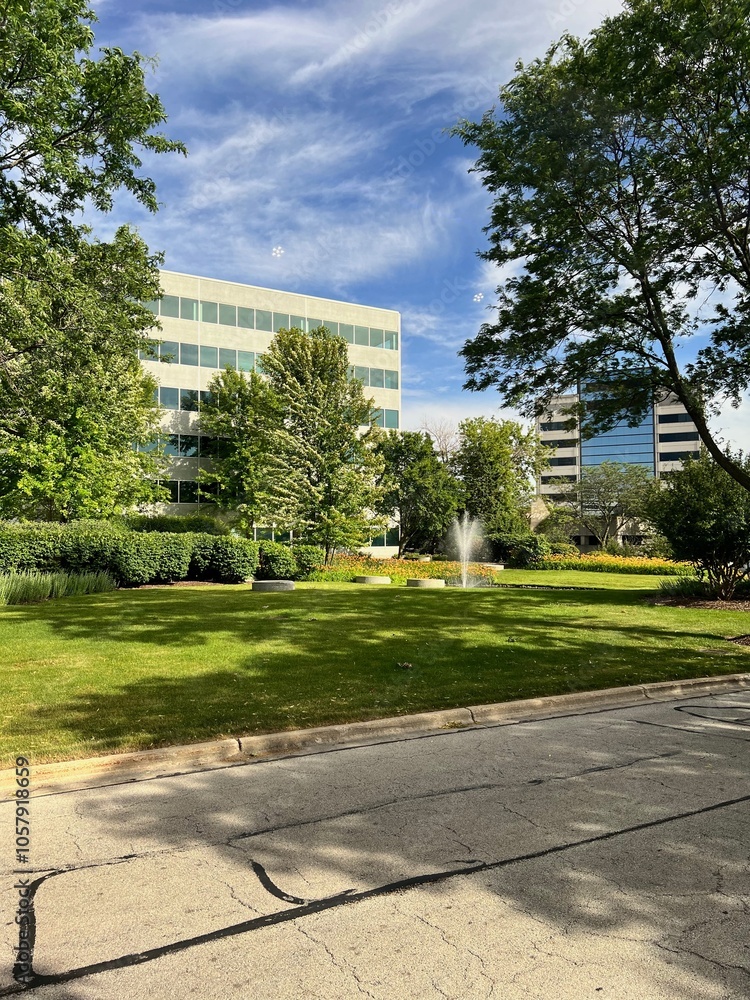 Obraz premium park in the city