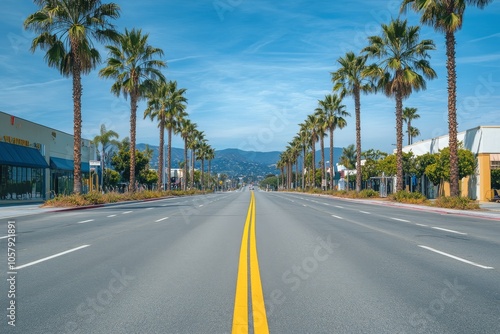A quiet road lined with palm trees on a sunny day in a scenic landscape