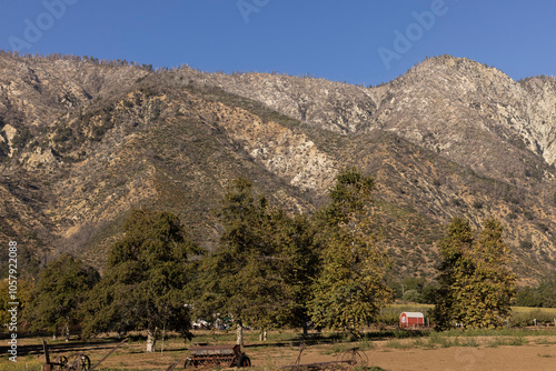 Afternoon sun shines on forest and San Bernardino Mountains of Oak Glen, California, USA.