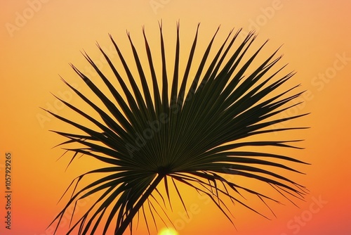 Sunset silhouette of a palm tree against a vibrant orange sky during twilight...
