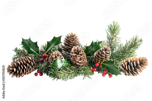 Christmas arrangement of natural pine cones, holly leaves, and berries isolated on transparent background