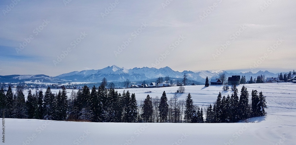 Snowy Zakopane Landscape with Trees, Mountains, and Sky