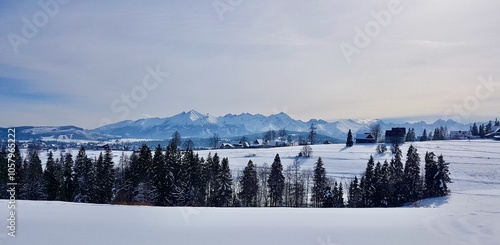 Obraz na płótnie Snowy Zakopane Landscape with Trees, Mountains, and Sky w salonie
