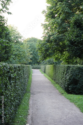 Figuratively trimmed bushes in public park, landscaping. work of gardener in historical place. paths for walking and recreation photo