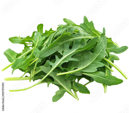 Fresh arugula leaves stacked on a white background