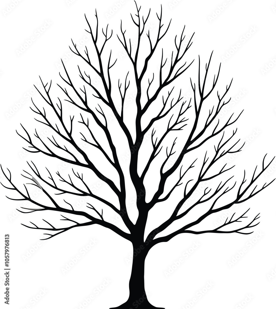 Obraz premium tree silhouette vector