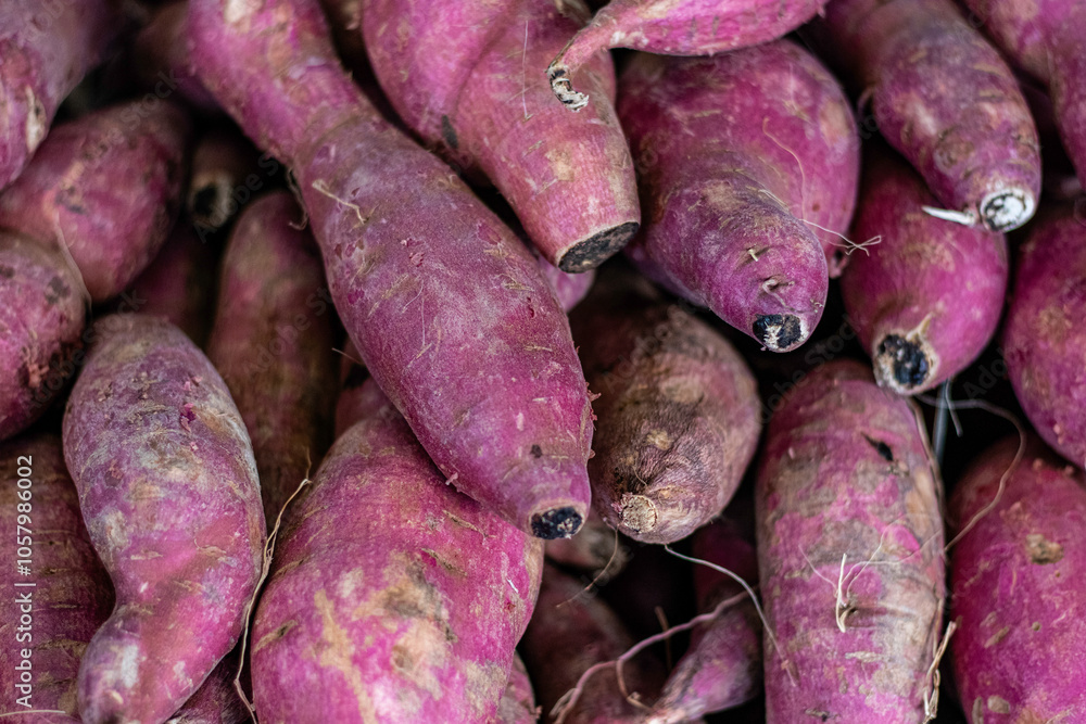 Batata-doce, também chamada batata-da-terra, batata-da-ilha, jatica e jetica.