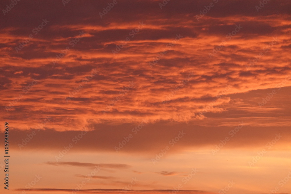 sunset sunset