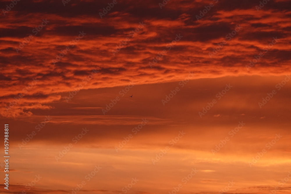 Obraz premium sunset