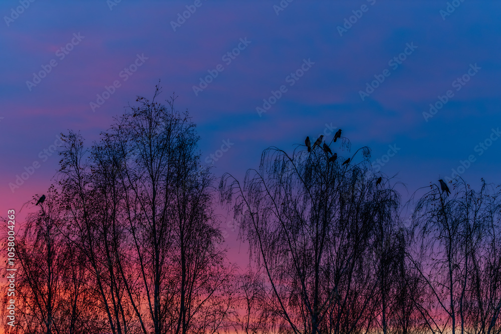 Silhouetted birds resting on the branches of leafless trees against a vivid pink and blue sunset sky. The serene setting evokes a peaceful and mystical atmosphere. Silhouetted birds resting on the branches of leafless trees against a vivid pink and blue sunset sky. The serene setting evokes a peaceful and mystical atmosphere.