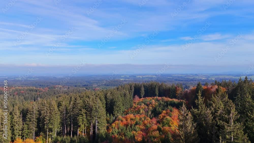 Rising above the beautiful green pine trees and colorful trees growing on the mountain. Stunning vast scenery of wilderness on sunny autumn day. Rising above the beautiful green pine trees and colorful trees growing on the mountain. Stunning vast scenery of wilderness on sunny autumn day.