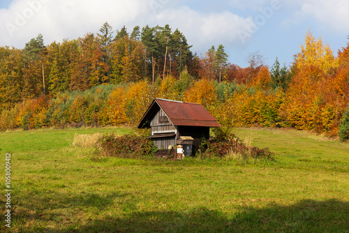 Obraz na płótnie Colorful autumn Landscape in Bohemian Paradise, Czech Republic w salonie