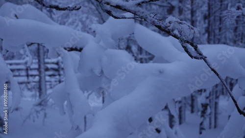 Wallpaper Mural snow covered trees Torontodigital.ca