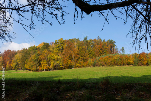 Obraz na płótnie Colorful autumn Landscape in Bohemian Paradise, Czech Republic w salonie