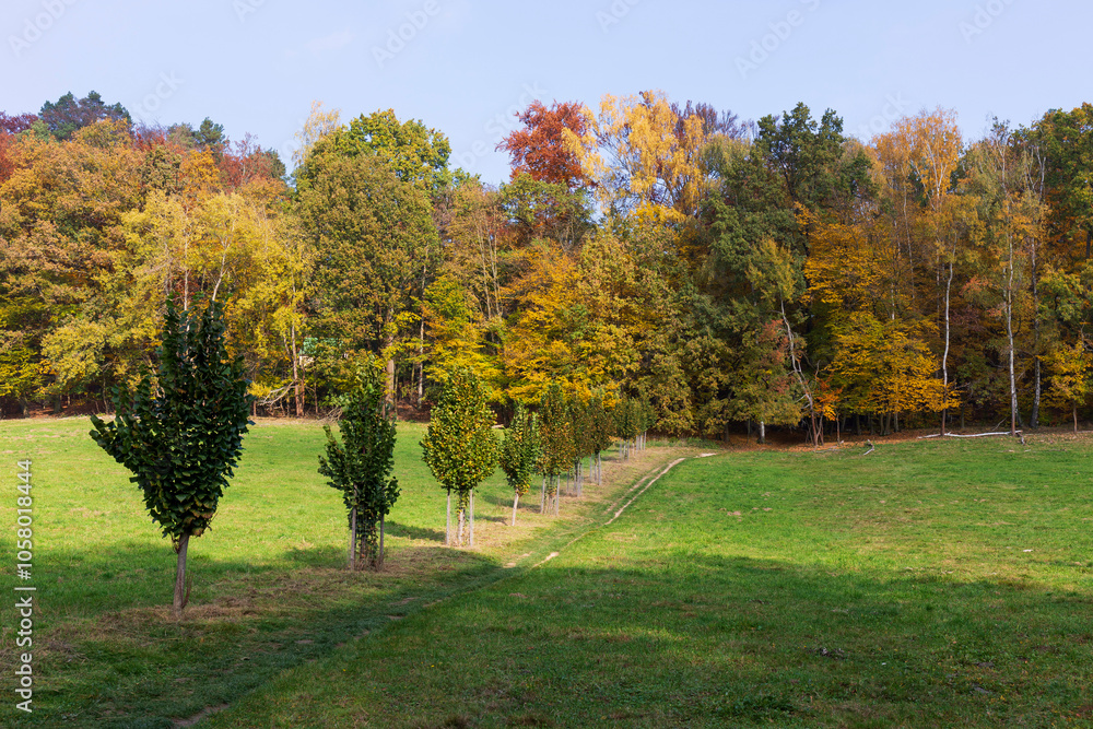 Colorful autumn Landscape in Bohemian Paradise, Czech Republic