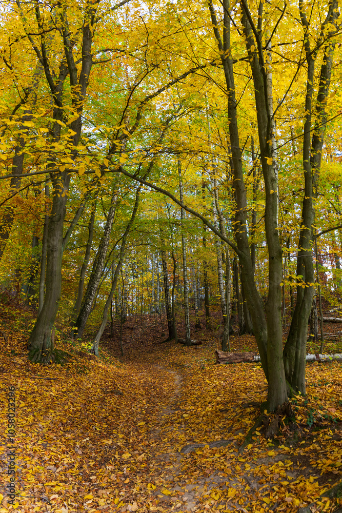 Colorful autumn Landscape in Bohemian Paradise, Czech Republic