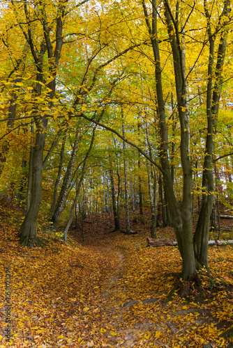 Obraz na płótnie Colorful autumn Landscape in Bohemian Paradise, Czech Republic w salonie