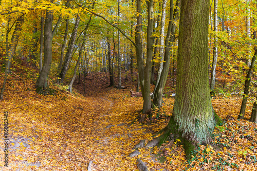 Obraz na płótnie Colorful autumn Landscape in Bohemian Paradise, Czech Republic w salonie