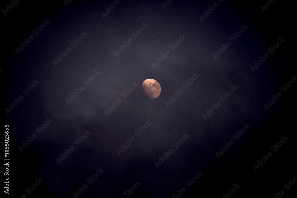 moon in the night moon in the night