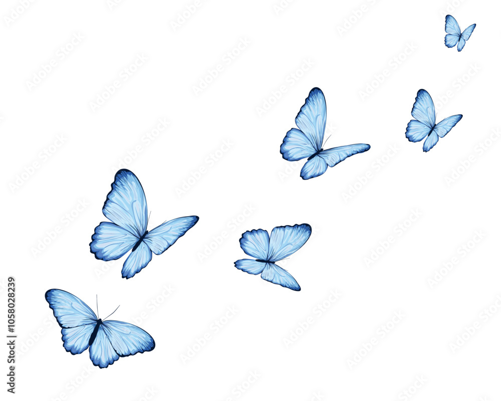set of butterflies blue flock of butterfly
set of butterflies blue flock of butterfly