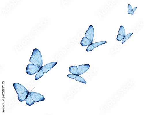 set of butterflies blue flock of butterfly
