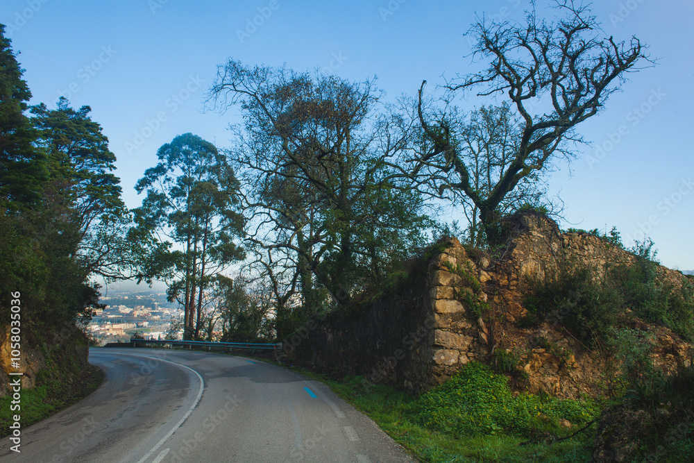 Obraz premium a winding road bordered by lush greenery and tall, bare-branched trees, leading the viewer’s eye toward the distant view of Coimbra nestled in the valley below