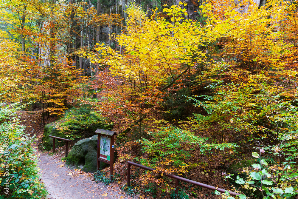 Colorful autumn Landscape in Bohemian Paradise, Czech Republic