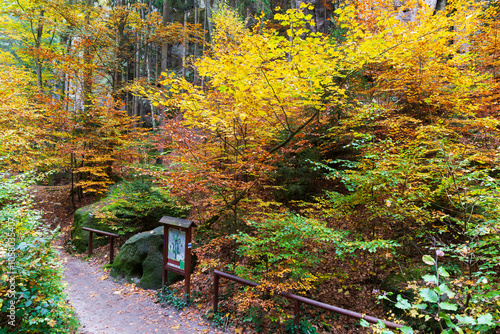 Obraz na płótnie Colorful autumn Landscape in Bohemian Paradise, Czech Republic w salonie
