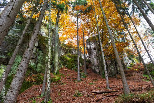 Colorful autumn Landscape in Bohemian Paradise, Czech Republic 