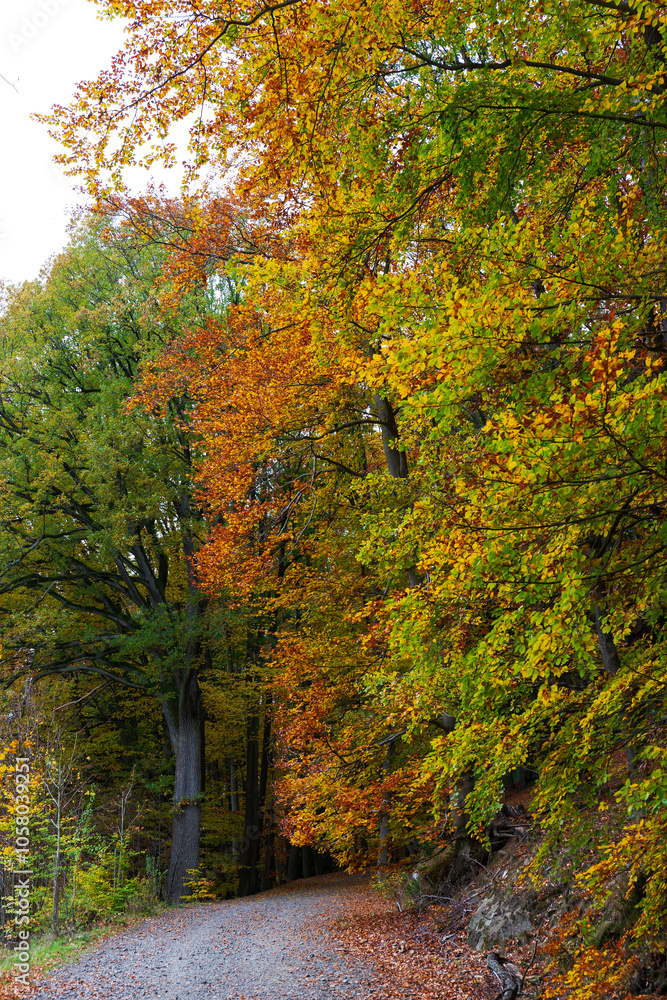 Colorful autumn Landscape in Bohemian Paradise, Czech Republic
