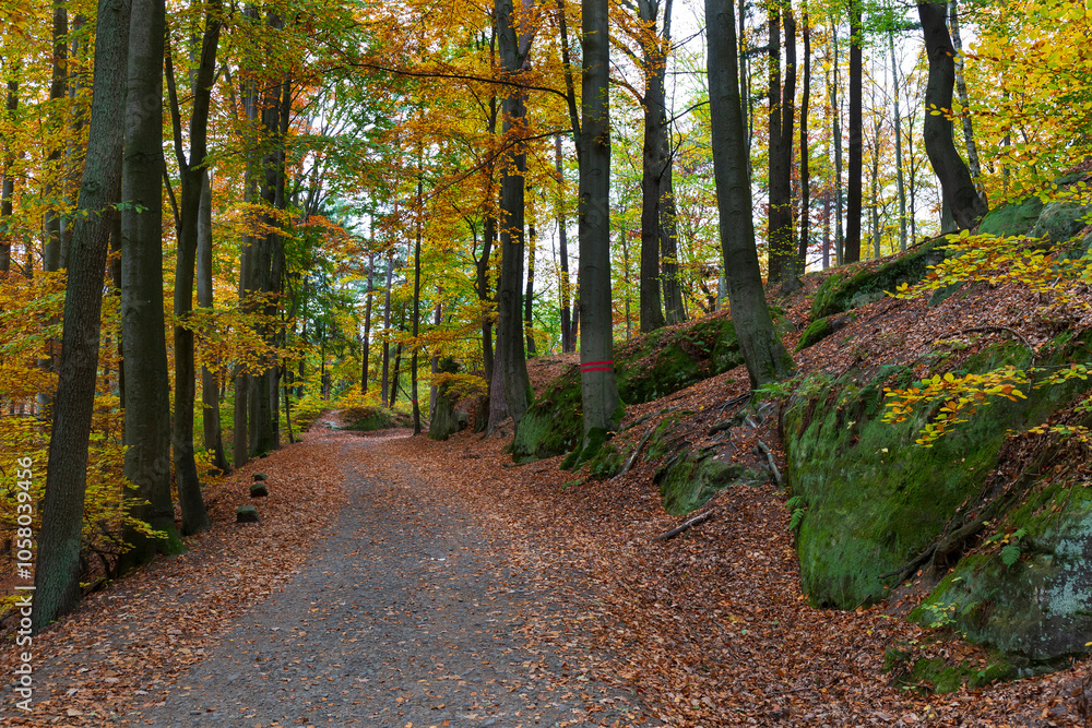 Colorful autumn Landscape in Bohemian Paradise, Czech Republic