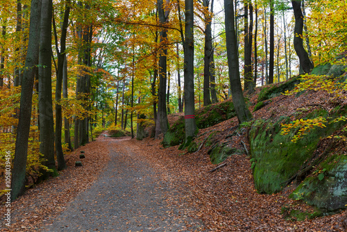 Obraz na płótnie Colorful autumn Landscape in Bohemian Paradise, Czech Republic w salonie