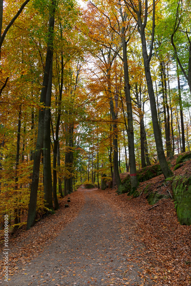 Colorful autumn Landscape in Bohemian Paradise, Czech Republic