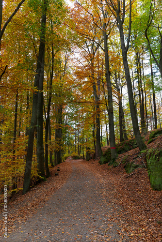 Obraz na płótnie Colorful autumn Landscape in Bohemian Paradise, Czech Republic w salonie