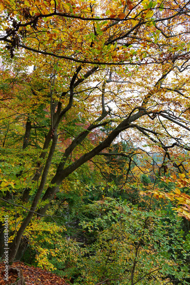 Colorful autumn Landscape in Bohemian Paradise, Czech Republic
