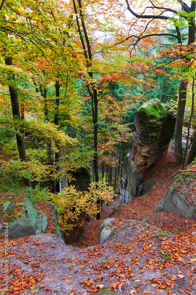 Colorful autumn Landscape in Bohemian Paradise, Czech Republic