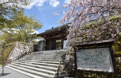 三千院　御殿門　京都市左京区大原 photo