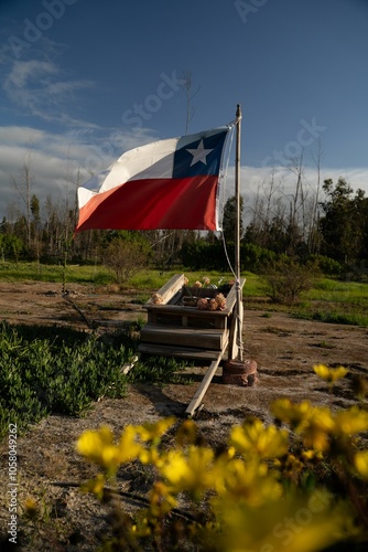 Chilean flag in rural landscape photo