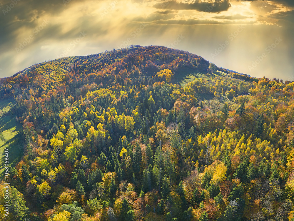 Colorful autumn forests in the mountains - Silesian or Tesin Beskydy, northeastern Czech Republic, Moravia