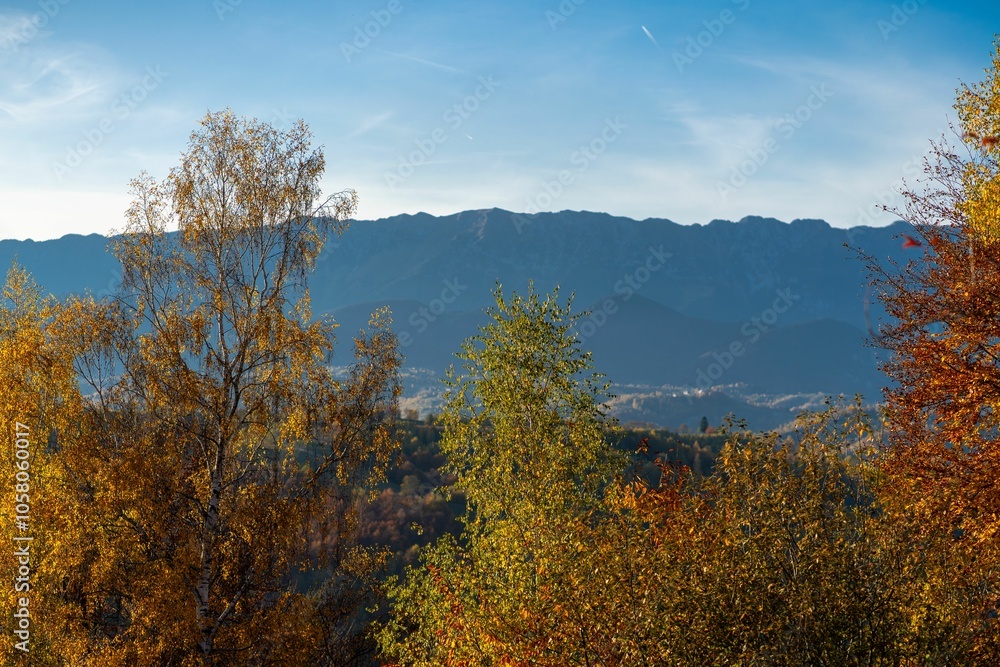 Autumn landscape with colorful trees and mountains. Autumn landscape with colorful trees and mountains.