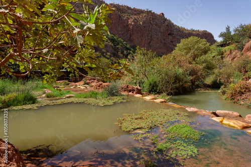 Cascade d'Ouzoud Maroc Marrakech  photo