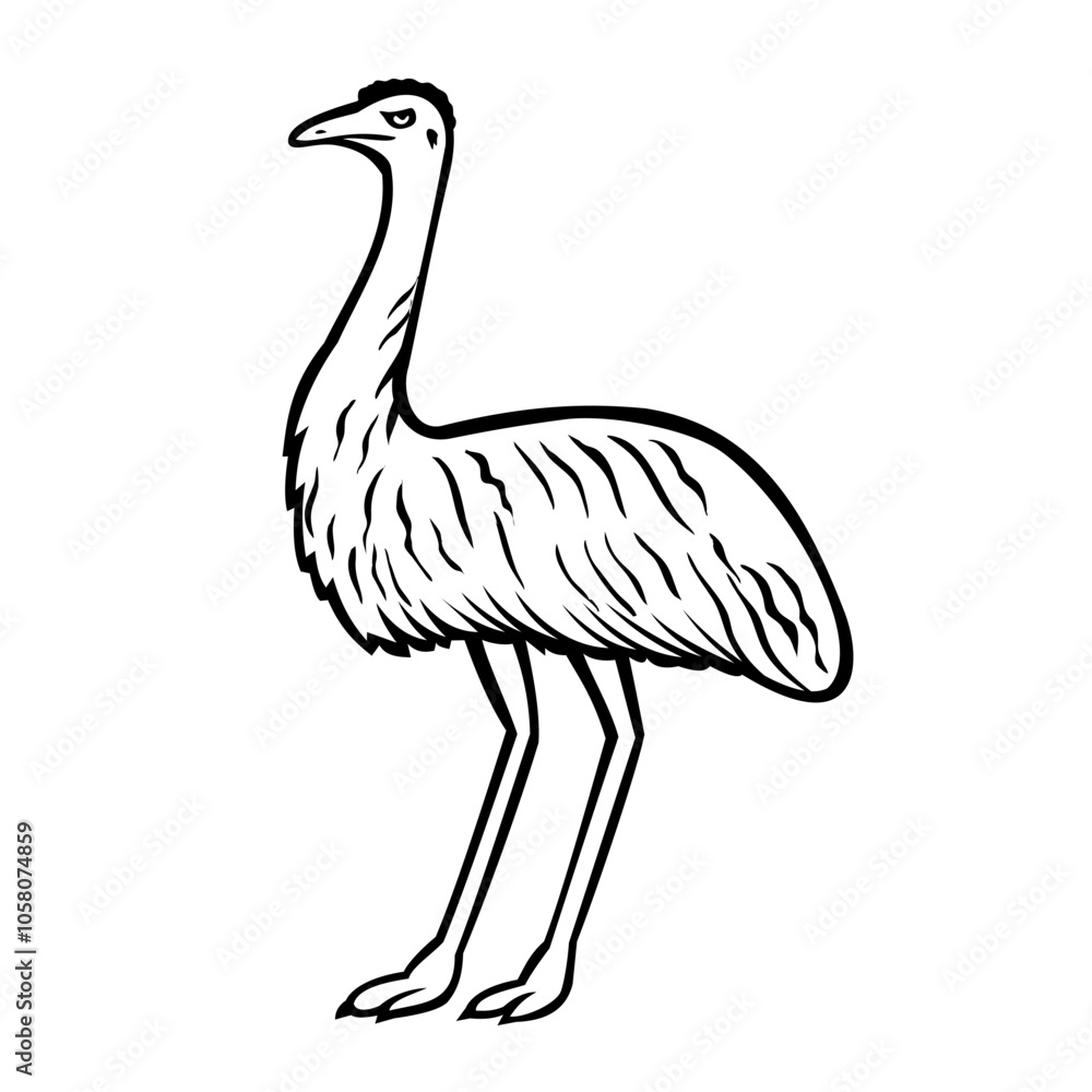 Obraz premium Retro style illustration of an emu or Dromaius novaehollandiae, a large, flightless bird endemic to Australia standing viewed from side on isolated background done in black and white.