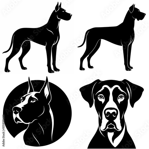 dog, animal, black, vector, pet, silhouette, illustration, isolated,doberman great done 