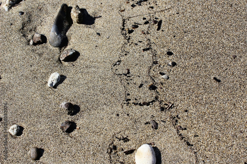 After the waves left on the beach After the waves left on the beach
