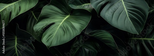 Wallpaper Mural Dark tropical foliage with lush green leaves, showcasing detailed textures in a natural background. Torontodigital.ca