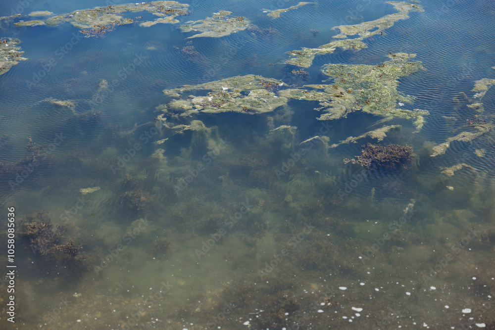 Obraz premium murky water