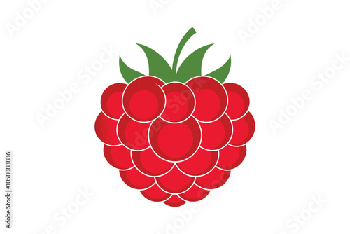 Raspberry Vector Illustration Fresh Fruit Isolated on White Background for Clean, Minimalist Design and Natural Appeal